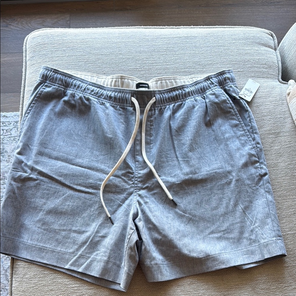Express Light Gray Drawstring Shorts
